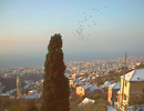 montefasce
